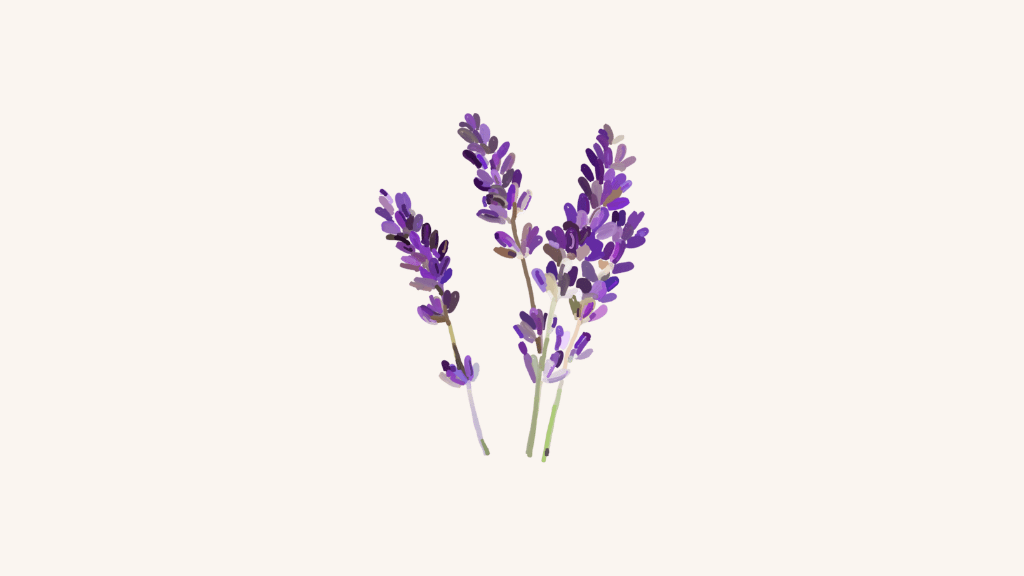 gifts for lavender lovers